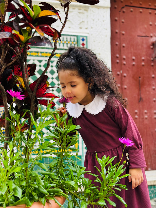 Robe "Amira" Élégante en Bordeaux avec Col en Dentelle Blanche pour Fille.
